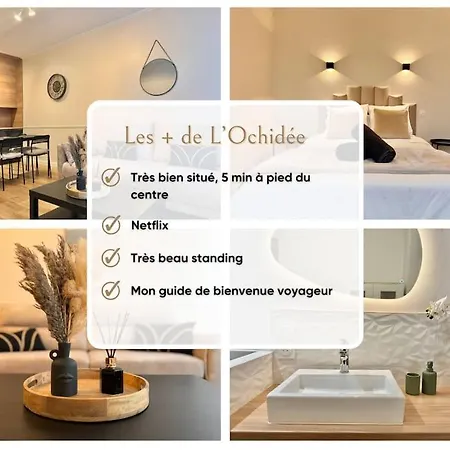 L'orchidee - Netflix - Wi-fi - Proche Centre