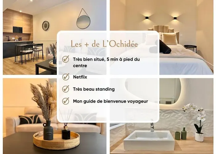 L'orchidee - Netflix - Wi-fi - Proche Centre